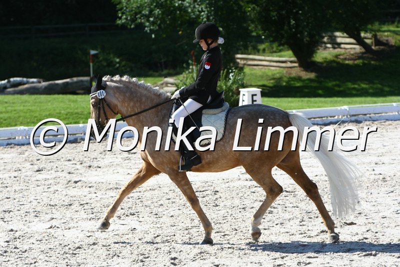 109M6788_Golden Starllight G_Dressur L_Mannschaft.JPG